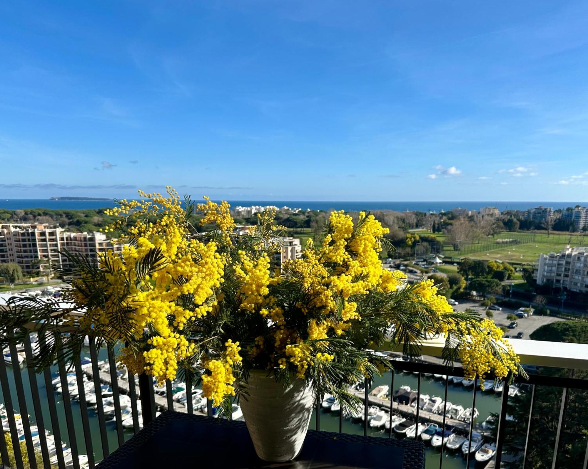 Aparthotel Cannes Marina