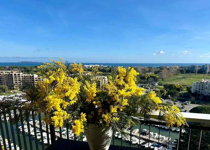 Cannes Marina Appart Hotel Mandelieu